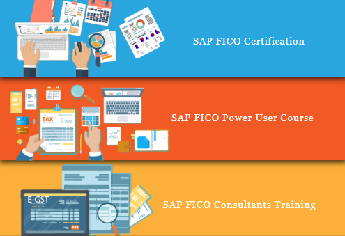 Sap Fico Training In Tilak Nagar, Delhi, Noida, Ghaziabad, Sla Institute, Accounting, Taxation, Finance, Tally & Gst, 100% Job